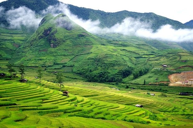 Lim Mong Village