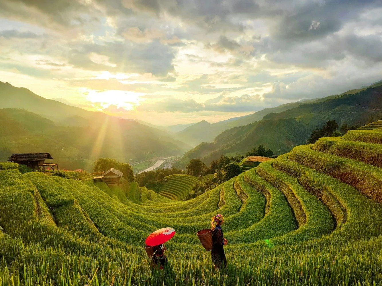Journey to explore Mu Cang Chai - Tu Le terraced fields