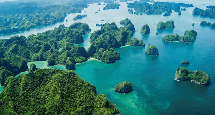 Take a cruise to Bai Tu Long Bay