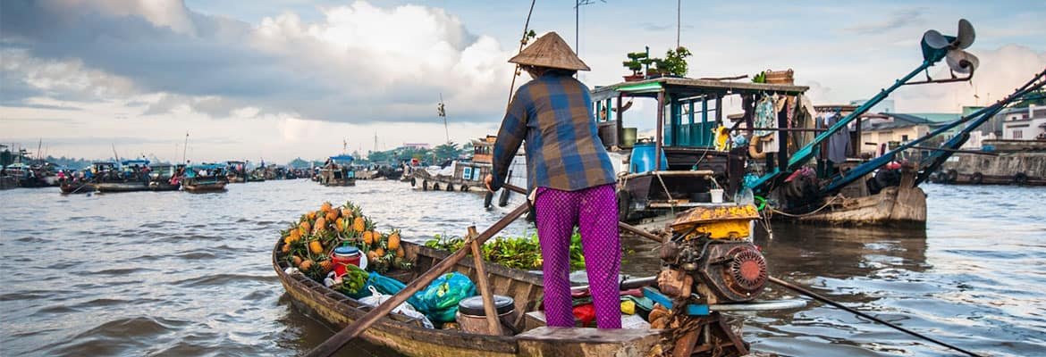 Mekong Delta Discovery